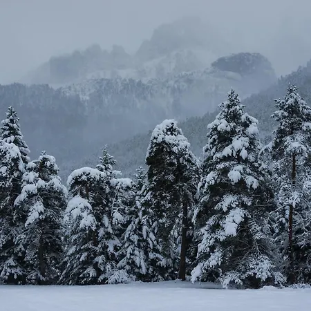 Casa De La Laguna By Bevalle