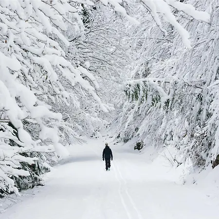 Casa De La Laguna By Bevalle 아파트 팬틱코사