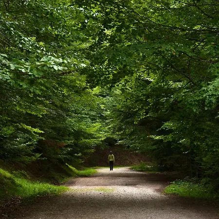 Apartamento Casa De La Laguna By Bevalle