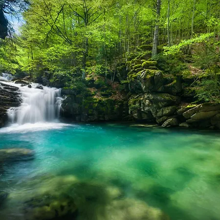 Casa De La Laguna By Bevalle Apartamento *