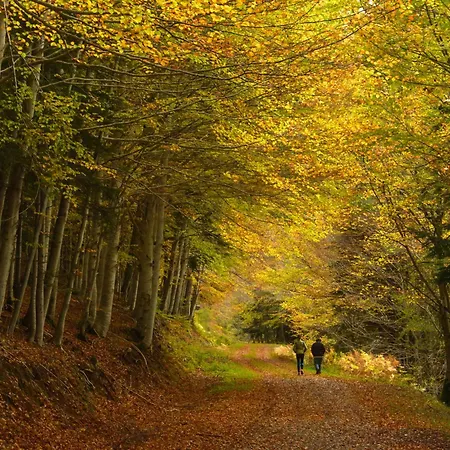 Casa De La Laguna By Bevalle Apartamento Panticosa