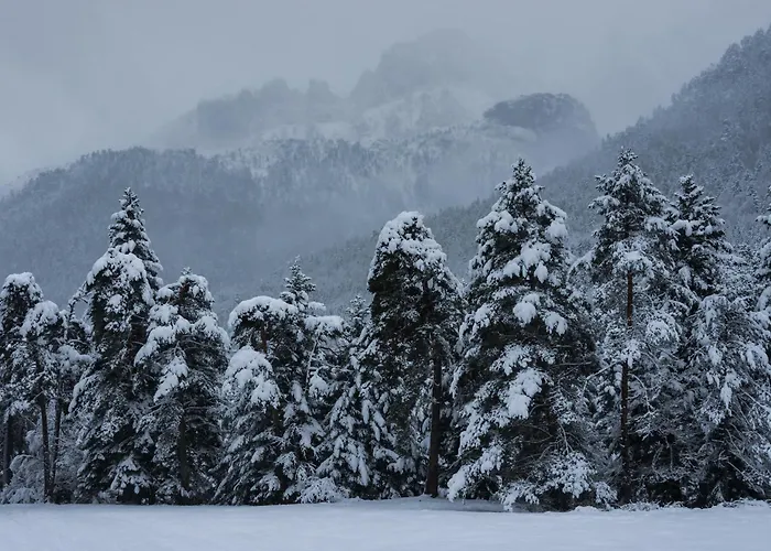Casa De La Laguna By Bevalle