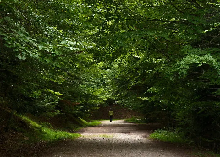 Apartamento Casa De La Laguna By Bevalle