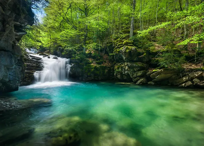 Casa De La Laguna By Bevalle Apartamento *