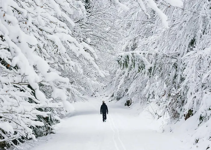 Casa De La Laguna By Bevalle Apartamento