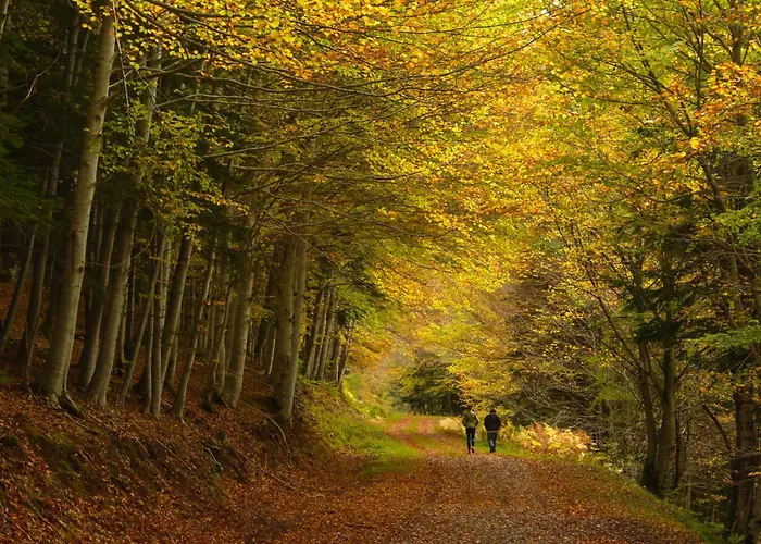 Casa De La Laguna By Bevalle Apartamento Panticosa