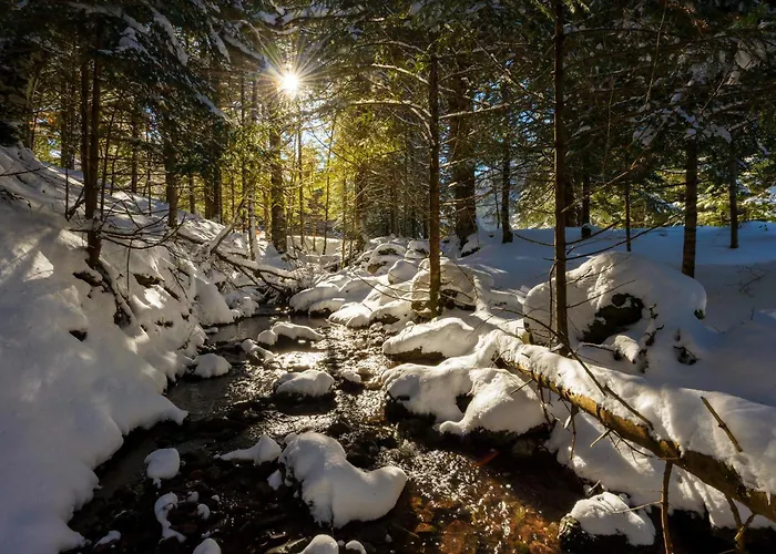 Casa De La Laguna By Bevalle Apartamento